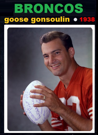 goosegonsoulin.jpg