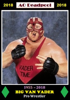 bigvanvader.jpg