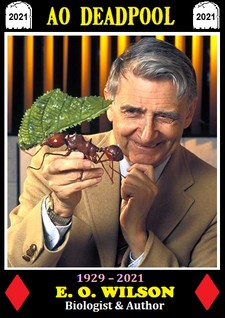 eowilson.jpg