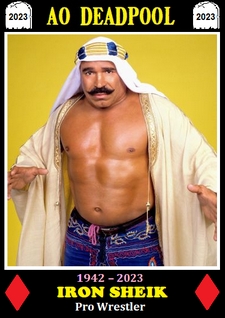 ironsheik.jpg